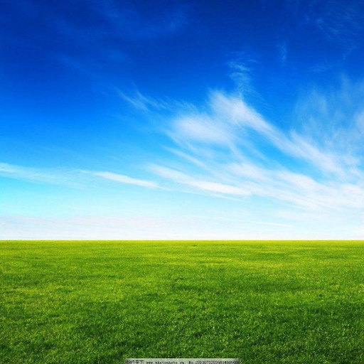 图中深色车辆在该地点临时停车是可以的。