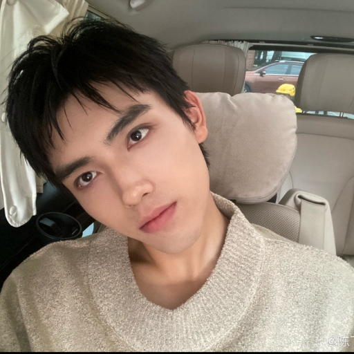 成妆X46